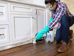 Best Residential Pest Control  in Burns Flat, OK